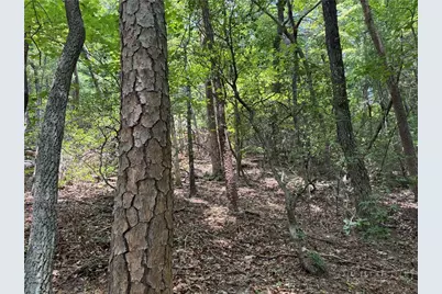 35 Acres Lot 23 Bear Track Lane, Lenoir, NC 28645 - Photo 9