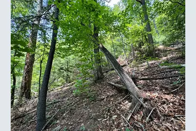 35 Acres Lot 23 Bear Track Lane, Lenoir, NC 28645 - Photo 11