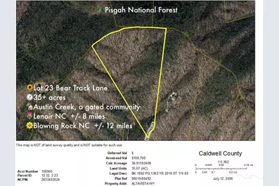 35 Acres Lot 23 Bear Track Lane, Lenoir, NC 28645 - Photo 3