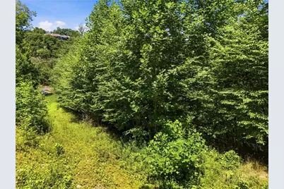 Lot 1 Laurel Ridge Lane, Banner Elk, NC 28604 - Photo 5