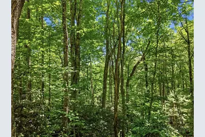 Lot 29 Chickasaw Trail, Blowing Rock, NC 28605 - Photo 11