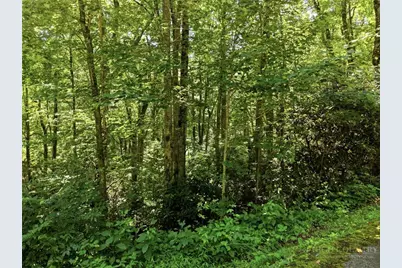 Lot 29 Chickasaw Trail, Blowing Rock, NC 28605 - Photo 25