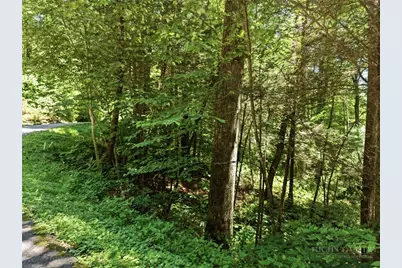 Lot 29 Chickasaw Trail, Blowing Rock, NC 28605 - Photo 13