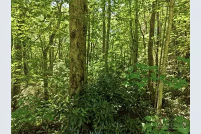 Lot 29 Chickasaw Trail, Blowing Rock, NC 28605 - Photo 3