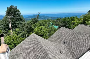 115 N Pinnacle Ridge Rd, Beech Mountain, NC 28604 - Photo 39