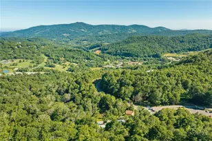 174 Grouse Moor Dr, Sugar Mountain, NC 28604 - Photo 31