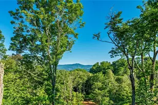 174 Grouse Moor Dr, Sugar Mountain, NC 28604 - Photo 15