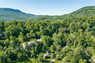 174 Grouse Moor Dr, Sugar Mountain, NC 28604 - Photo 37