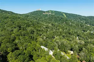174 Grouse Moor Dr, Sugar Mountain, NC 28604 - Photo 43