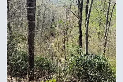 24 Elk Mountain Loop, Newland, NC 28657 - Photo 7