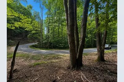 146 Sassafrass Road, Beech Mountain, NC 28604 - Photo 5