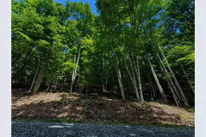 146 Sassafrass Road, Beech Mountain, NC 28604 - Photo 7