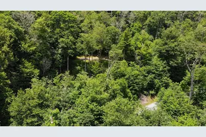 1709 Forest Ridge Drive, Linville, NC 28646 - Photo 3