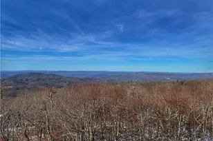 106 Spruce Hollow Rd, Beech Mountain, NC 28604 - Photo 3