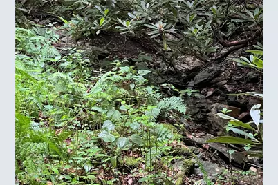 Lot 32 Piedra Road, Blowing Rock, NC 28605 - Photo 3