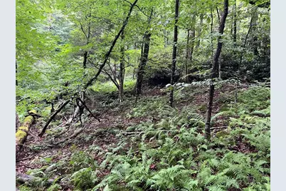 Lot 32 Piedra Road, Blowing Rock, NC 28605 - Photo 5