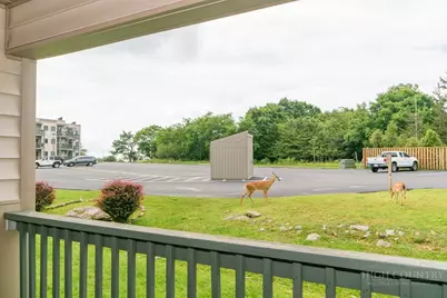 301 Pinnacle Inn Road #2117, Beech Mountain, NC 28604 - Photo 31