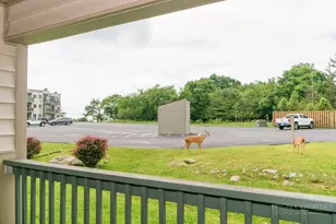 301 Pinnacle Inn Rd, Beech Mountain, NC 28604 - Photo 31