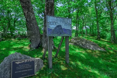Lot 41 Turkey Crossing Lane, Banner Elk, NC 28604 - Photo 29