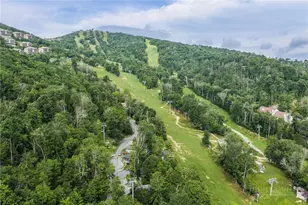 520 Briarcliff Rd, Sugar Mountain, NC 28604 - Photo 39