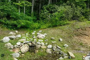 906 Mountaindale Rd, Vilas, NC 28692 - Photo 39