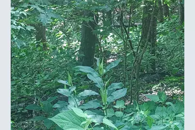 Lot 90 Thorncliff Drive, Seven Devils, NC 28607 - Photo 3