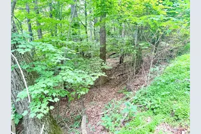 Lot 17 Savannah Drive, West Jefferson, NC 28694 - Photo 5