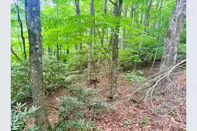 Lot 17 Savannah Drive, West Jefferson, NC 28694 - Photo 7