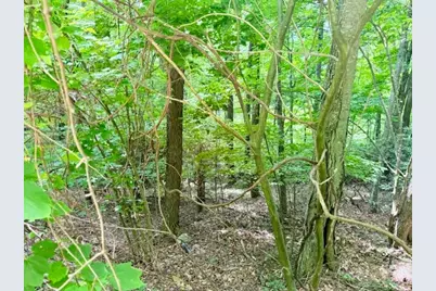 Lot 17 Savannah Drive, West Jefferson, NC 28694 - Photo 3