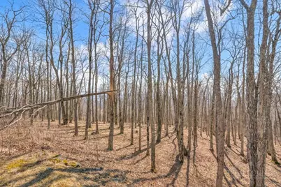 Lot 86 Elk Creek Mountain Parkway, Todd, NC 28684 - Photo 11