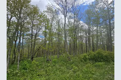 Lot 86 Elk Creek Mountain Parkway, Todd, NC 28684 - Photo 7