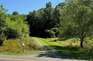 735 Weaver Ford Rd, Grassy Creek, NC 28631 - Photo 3