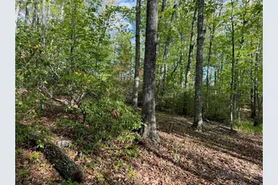 735 Weaver Ford Road, Grassy Creek, NC 28631 - Photo 43