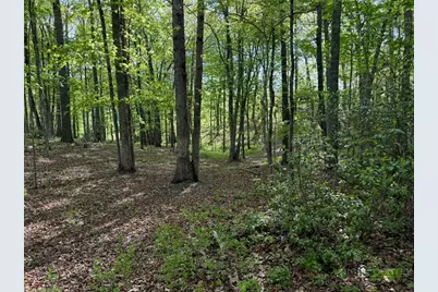 735 Weaver Ford Road, Grassy Creek, NC 28631 - Photo 41