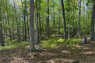 735 Weaver Ford Rd, Grassy Creek, NC 28631 - Photo 45