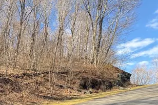 Lot 32 Jewel Weed Trail, Newland, NC 28657 - Photo 1