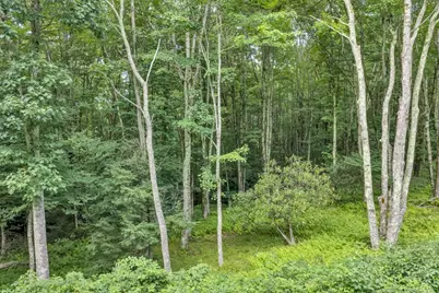 Tbd Featherwood Trail, Banner Elk, NC 28604 - Photo 31