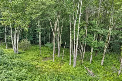 Tbd Featherwood Trail, Banner Elk, NC 28604 - Photo 21