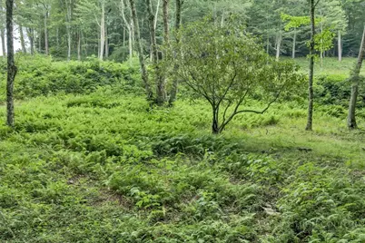 Tbd Featherwood Trail, Banner Elk, NC 28604 - Photo 29