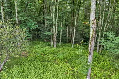 Tbd Featherwood Trail, Banner Elk, NC 28604 - Photo 23