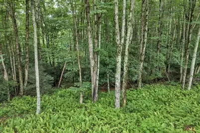 Tbd Featherwood Trail, Banner Elk, NC 28604 - Photo 25