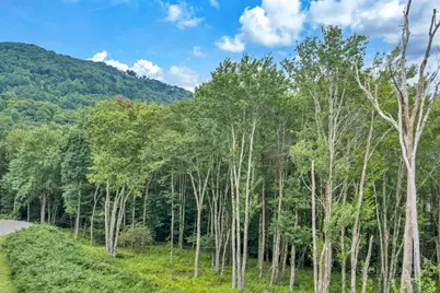 Tbd Featherwood Trail, Banner Elk, NC 28604 - Photo 17