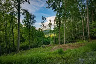 Lot 4 Elk Creek Dr, Banner Elk, NC 28604 - Photo 1