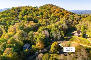 411 Apple Valley Rd, Zionville, NC 28698 - Photo 43