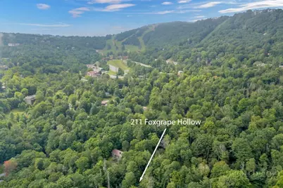 211 Foxgrape Hollow, Beech Mountain, NC 28604 - Photo 21
