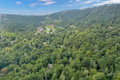 211 Foxgrape Hollow, Beech Mountain, NC 28604 - Photo 23