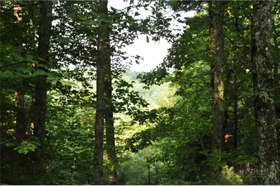 Tbd Highland Laurel Lane, Deep Gap, NC 28618 - Photo 3