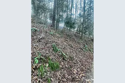 Tbd Mountain Side Lane, Crumpler, NC 28617 - Photo 3