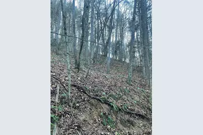 Tbd Mountain Side Lane, Crumpler, NC 28617 - Photo 5