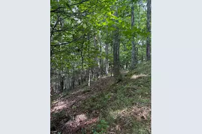 Tbd Starlite Drive, Crumpler, NC 28617 - Photo 11